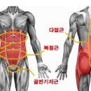 헬스패밀리 이미지