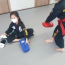 혁신코리안주짓수종합격투기공권유술