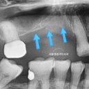 서울정성가득치과의원 이미지