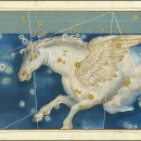 페가수스 이미지