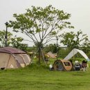 대저캠핑장 이미지