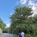 굿데이짐 별내점 이미지