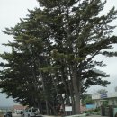 남양초등학교태하분교장 이미지