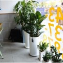 마음가는공인중개사사무소 이미지