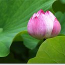 성동초교 이미지