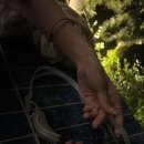 장수해장국&해물구이 이미지