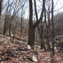 유명산산장 이미지