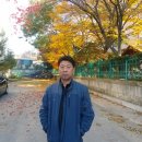 수항초 이미지