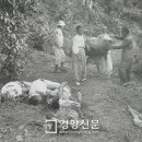 여순환경 이미지