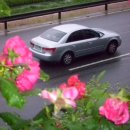 묵동-044 이미지