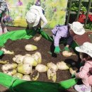 크레아트스쿨어린이집 이미지