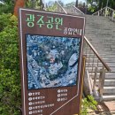 일본군 위안부 피해 | 광주시민회관에서 진행된 광복 80주년 특별 기획전: 일본군 위안부 기억전 &#39;꽃잎 240. 233. 7&#39; 관람 후기