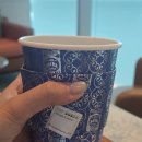창이공항 바샤커피 테이크어웨이 후기｜마운트 케냐·밀라노 모닝·스위트 멕시코 비교