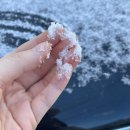 순광식당 이미지