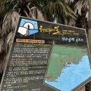 올레관광개발 | 나혼자 제주도 #7 올레길 8코스