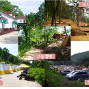 수목원펜션 이미지