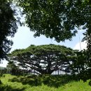 법기수원지 이미지