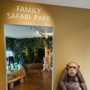 아프리카박물관 | 제주 아프리카박물관 즉흥으로 방문한 솔직후기(+관람료)