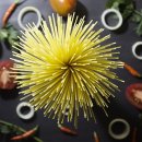 파스타입니다 이미지