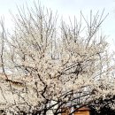 해금공원 이미지