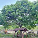 GS25(밀양표충사점) 이미지