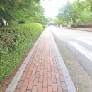 강남마을공인중개사사무소 이미지