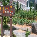 경진초등 이미지