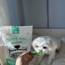 에이블덴탈 이미지