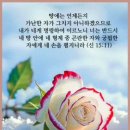 손이빛나리