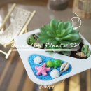고무신 꾸며 다육이 심기 | DIY 제로웨이스트 실천! | 비요뜨 재활용품 용기로 다육이 화분 만들기