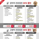 이프동물의료센터 이미지