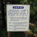 서울대공원 산림욕장길 이미지