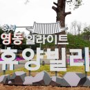 영동 일라이트 휴양빌리지 이미지