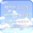 크리스마스자몽세종