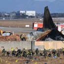 무안공항 조류충돌 발생 인천공항의 9배…재개항 가능할까? 이미지