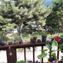 노송부동산 이미지