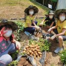 동곡초등학교1 이미지