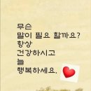 하얀노을 이미지