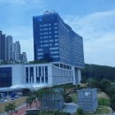 동백정형외과의원 이미지