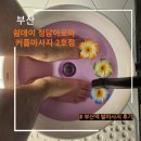 개인의 공간, 쉼 | 부산역 마사지 추천 쉼데이 청담아로마 발 관리 후기