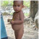 로하스마을 이미지