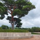 금정체육공원실내체육관 관중석 | 부산 전국체전 일정 전국체육대회 핸드볼 테니스 사이클 농구 관람 후기