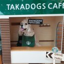 타카독스 커피 이미지