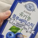 (주)비타그램 | 비타오리진 유기농 블루베리스틱 후기 💜 상큼하게 챙기는 하루 루틴 !!!