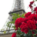 선사한의원 이미지