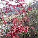 화수목 농원 이미지