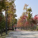 (주)쥬니쿠키 | 가을은 천고마비의 계절 : 하늘은 높고 쥬니니는 살찐다