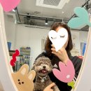 뉴해피다방 이미지