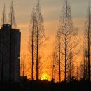 송도 해돋이공원 | 인천 송도 해돋이 공원 겨울 일출 솔직 후기