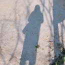 도원우체국앞 이미지